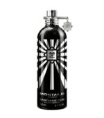 Montale Fantastic Oud EDP 100 ml Unisex Parfüm