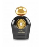 Tiziana Terenzi Comet Halley EDP 100 ml Unisex Parfüm